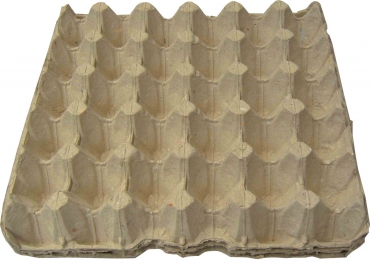 أطباق البيض الكرتونية