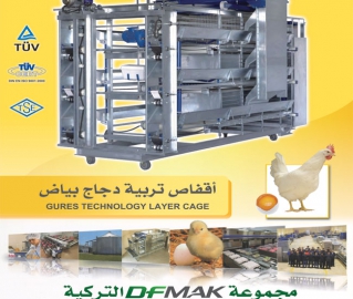 أقفاص تربية دجاج بياض